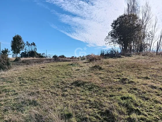 Vista A Humedal Río Cariquilda L Maullín