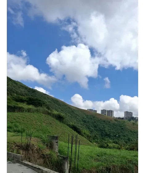 Terreno En Colinas De Bella Vista, 355m² -ll/ws-