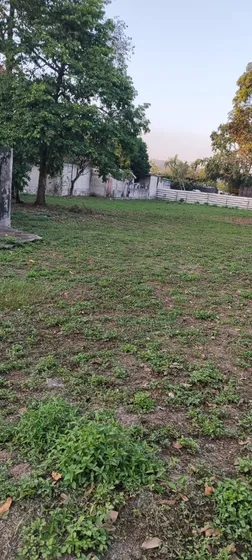 Terreno Plano Con Entrada De Piso, Excelente Ubicación