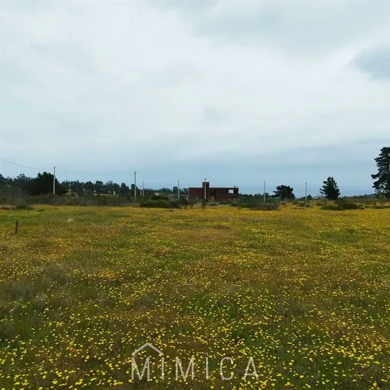 Sitio En Venta En Algarrobo