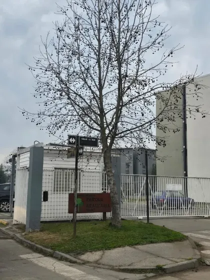 Talca - Central