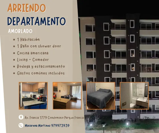 Depto 1d+1b Cond Parque Francia Osorno