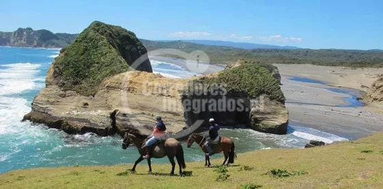 Sitio En Venta En Chonchi