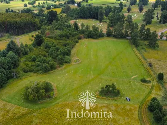 Se Vende Campo De 55 Hás A 10 Min. Del Lago Ranco