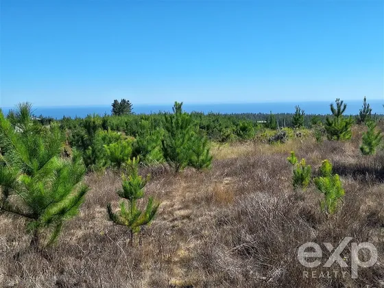 Venta Sitio L109 5.000m2 Vista Al Mar, Pichilemu