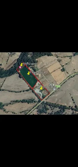 Exclusiva Propiedad De 5,6 Hectáreas En Panguipulli Región