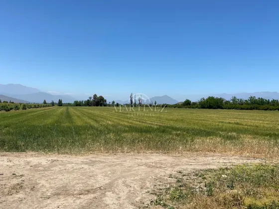 Terreno 6,7 Hectáreas Agrícolas Con Derechos De Agua