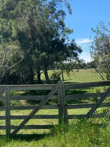 Chacra En  Venta El Cabure 