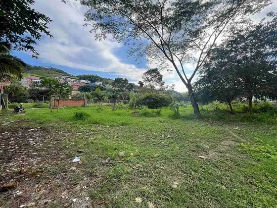 Lote En Venta En Sector Via La Florida/pereira  (279058104).