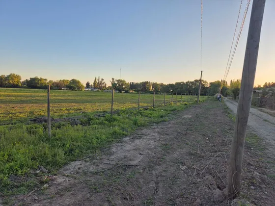 Lotes Con Rol Propio 5000 Mts2 Linares (70864)