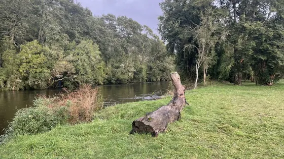 Preciosa Parcela Orilla Rio Maullín