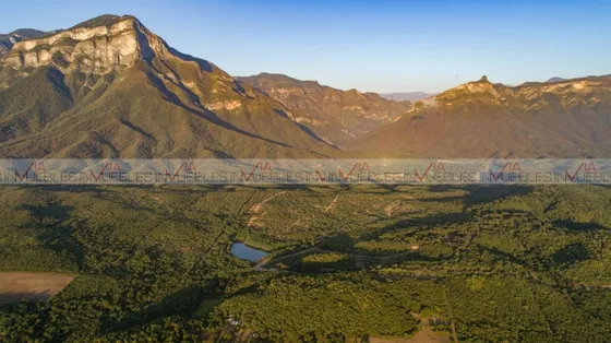 Valle Venado