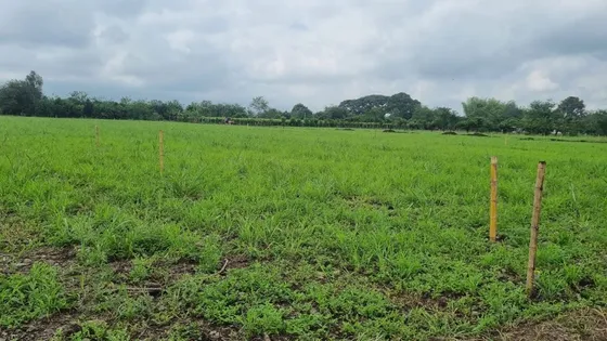 Santa Elena - Lote En Parcelación Abierta En Venta Palmira Valle