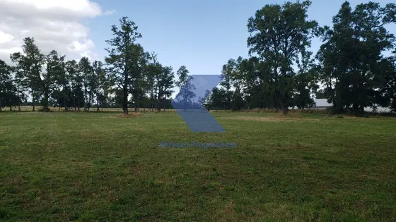 Terreno En Venta 3 Hectareas En Rio Frio Los Muermos