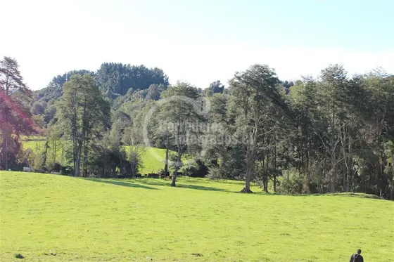 Parcela En Venta En Los Muermos Puerto Varas