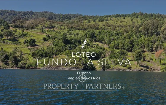 Exclusivo Proyecto Borde Lago Ranco De 8 Macro Lot...