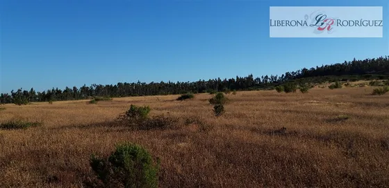 Parcela En Venta, Nilahue Alto, Pumanque