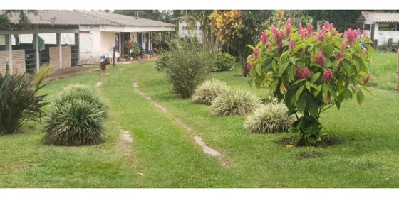 Venta Finca Pueblo Tapao En Pastos - 13.5 Cuadras