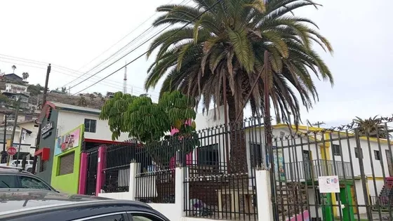 Local Renta Ensenada