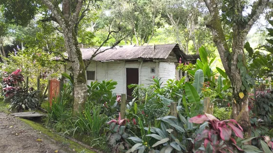 Casa Lote - Lote Via Dolores Tolima 
