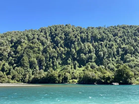 Hermosa Parcela De 1 Hectárea Ribera Río Yelcho, Patagonia.