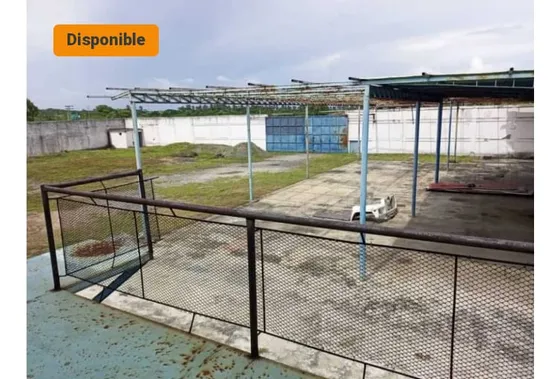 Venta O Alquiler De Galpón En Morón Estado Carabobo (kcl)