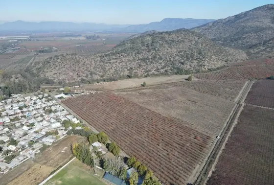 Venta De Campo Productivo En Requínoa Id. 87.731-cam