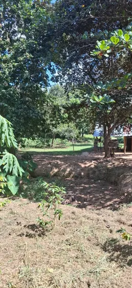 Se Vende Finca Virje Hacia Tocuyito Margaritaks