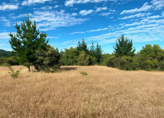 Campo En Comuna De Florida
