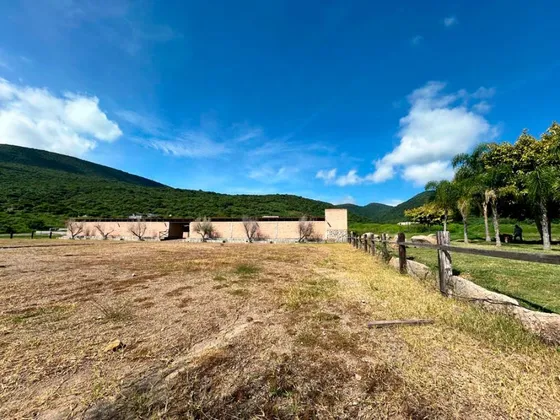 Lote Viñedo 71
