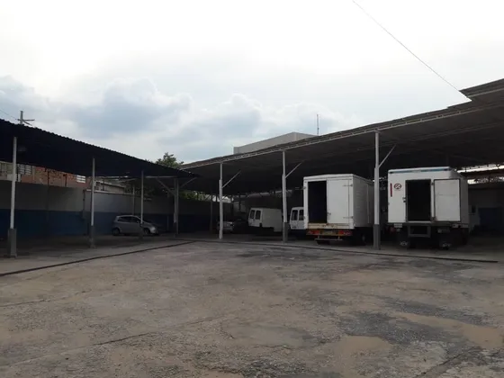 Empresa De Productos Lácteos En Maracaibo. Luz Coelho