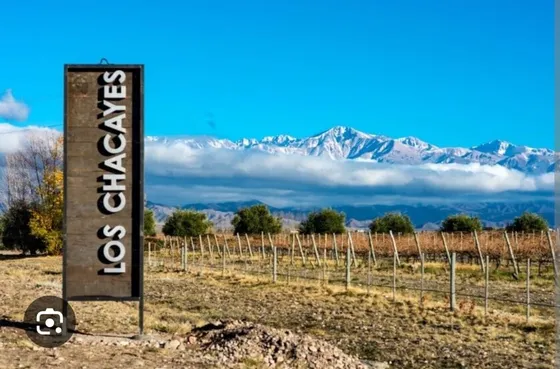 Venta De Lotes De 2000 M² En Los Chacayes