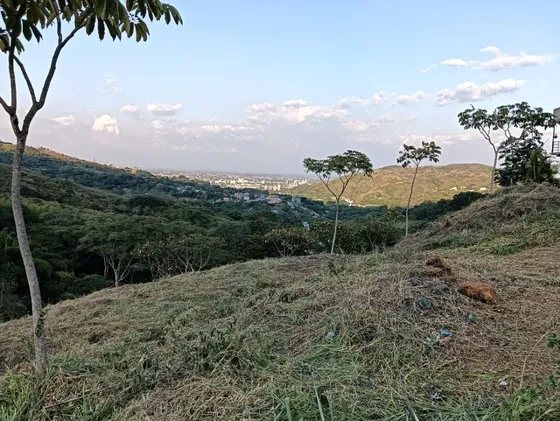 Vendo Lote A Tan Solo 15 Minutos De Cosmocentro