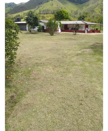 Venta De Finca En Urrao Antioquia