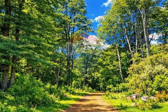 Venta Parecela 5.000 Mt2 En Ecopueblo Coñaripe