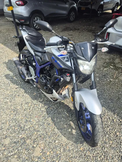 Yamaha Mtn320 (mt03)