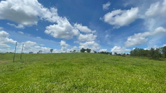 Fazenda 21ha