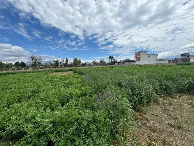 Terreno Guaytacama 10157 M2 Abundante Agua De Riego, Todo Uso