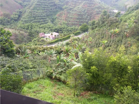 Venta Lote San Peregrino Via La Manuela, Manizales | Lote En Venta