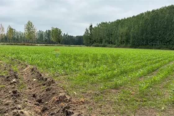 Venta Terreno Agrícola
