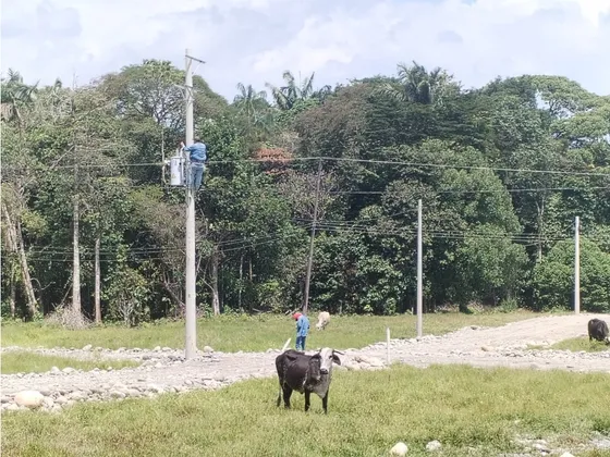 Venta De Lotes Campestres En Acasia Meta Proyecto Terranova