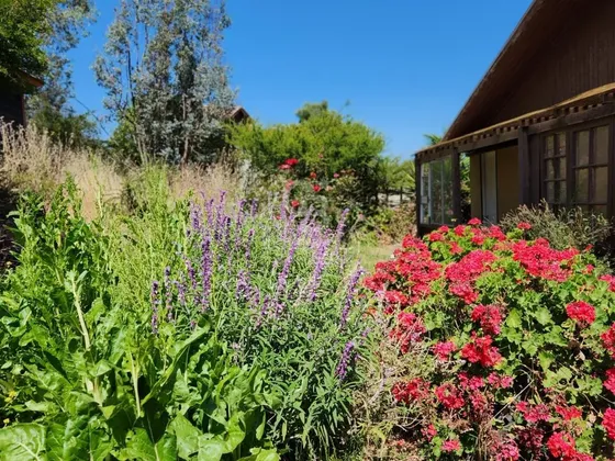 Parcela De 5000m2 Con Casa En Quillota