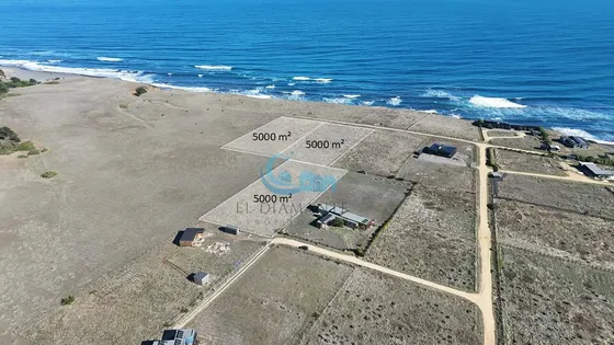 Terrenos De 5.000m2 En Pangal Con Vista Panorámica Al Mar