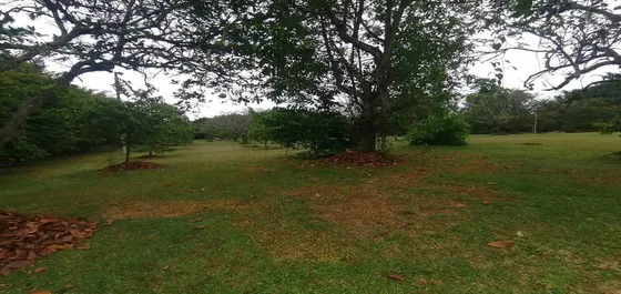 Lote En Venta Cerritos -  Pereira (279058285).