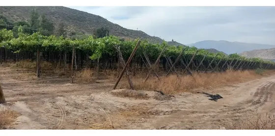 Venta Tres Lotes Rurales En San Esteban