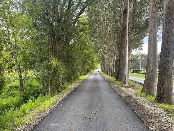 Venta Hermosa Parcela En Frutillar