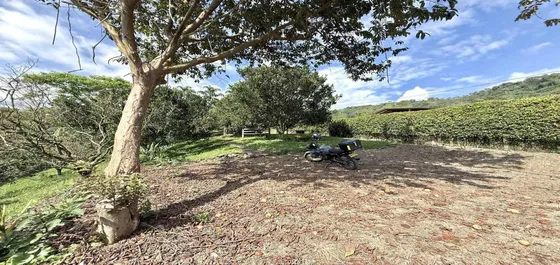 Casa Campestre En Arriendo En Combia/pereira (279062613).