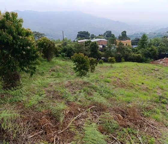 Lote La Reforma - Casas Blancas