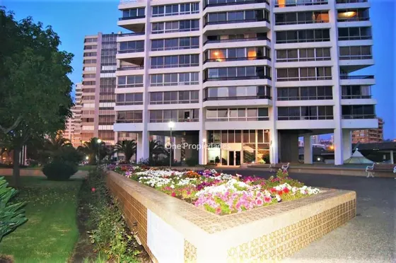 Departamento Arriendo Amoblado 2d2b San Martin Viña Del Mar