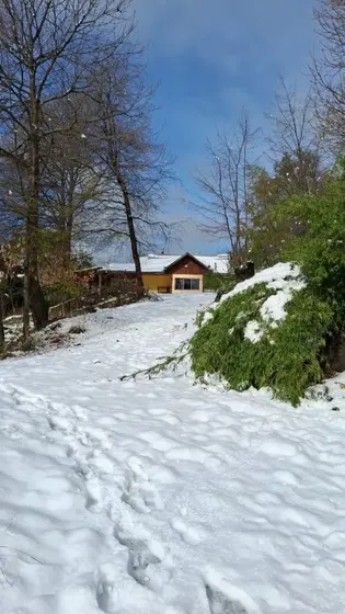 ¡hermosa Parcela En Pinto: 5200 M² De Naturaleza Y Confort!
